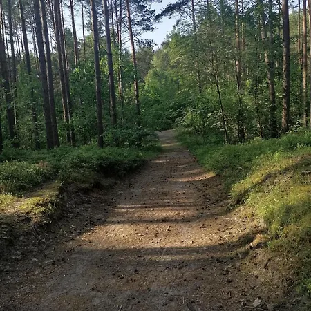 Daire Bartus Do 4 Osob - Stegna Mierzeja Wislana Stegna (Pomerania)